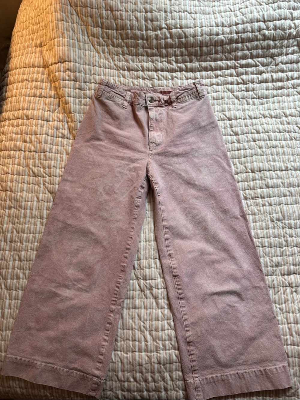 Wide Leg Pilcro pants in Dusty Pink Sz 25 petite
